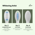 Soocas Van Gogh Electric toothbrush X3U